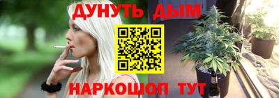 сатива Кимры