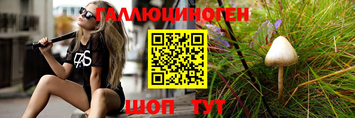 Псилоцибиновые грибы GOLDEN TEACHER Клин