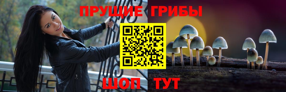 Галлюциногенные грибы Cubensis  Псилоцибиновые грибы MAGIC MUSHROOMS  Вход с VPN  Клин 